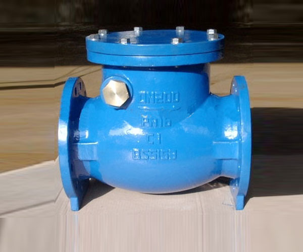 check valve swing type4